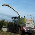 Claas Jaguar 950 002