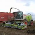 Claas jaguar 950 019