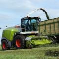 Claas jaguar 950 023