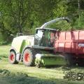 Claas jaguar 950 029