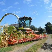 Claas Jaguar 980