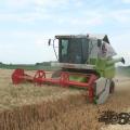 Claas medion 310 041