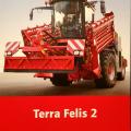 Holmer terra felis 2 01