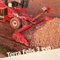 Holmer terra felis 3 evo